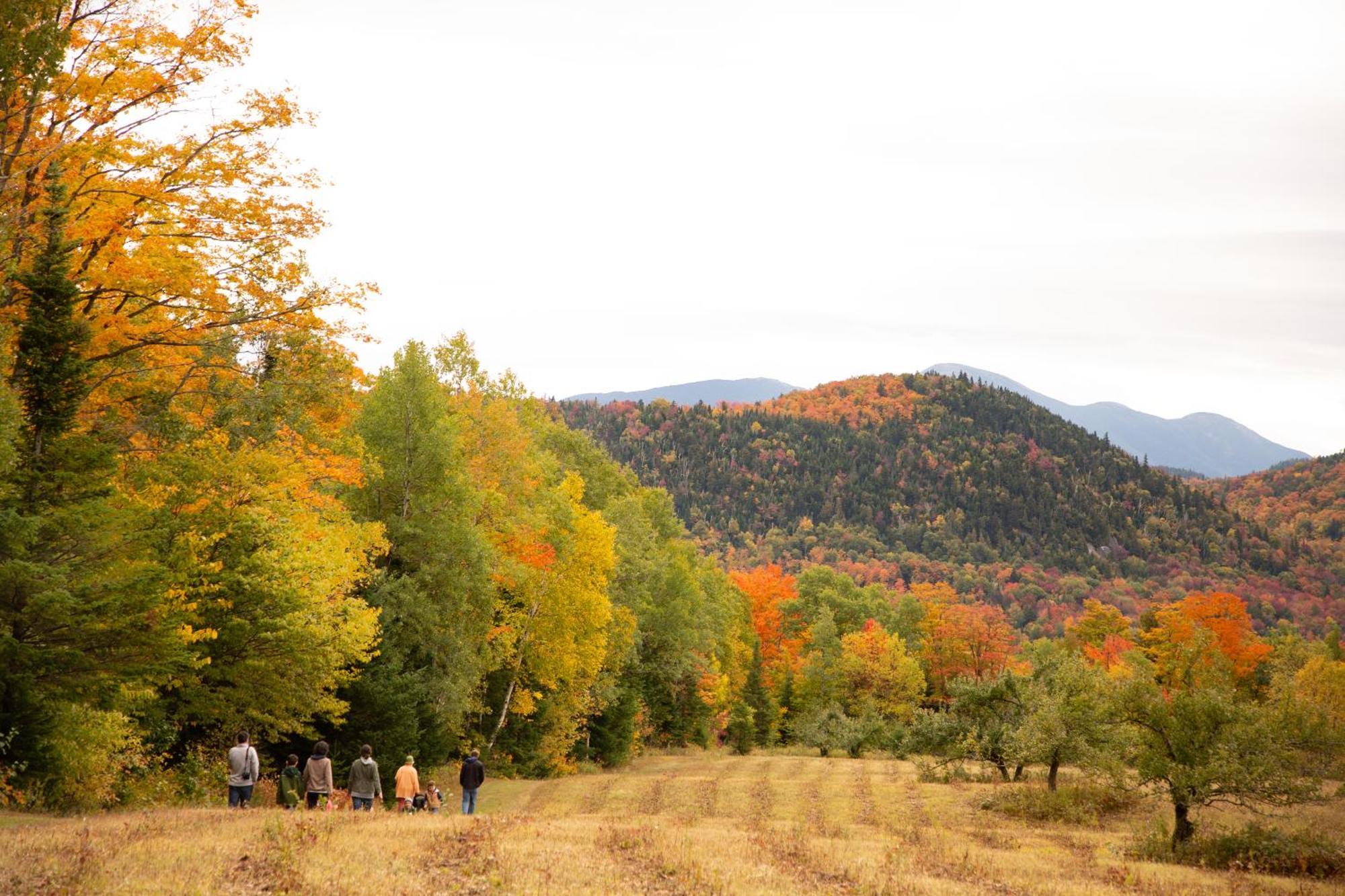 Lake Placid Inn: Residences エクステリア 写真