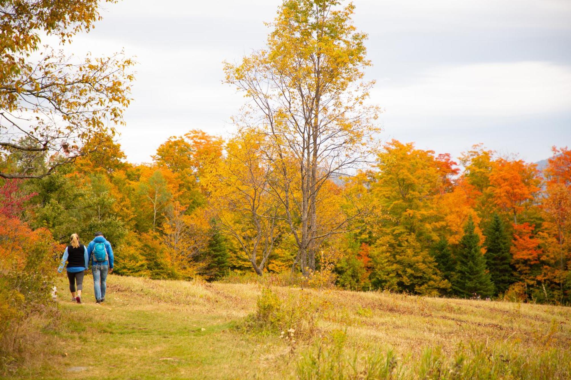 Lake Placid Inn: Residences エクステリア 写真