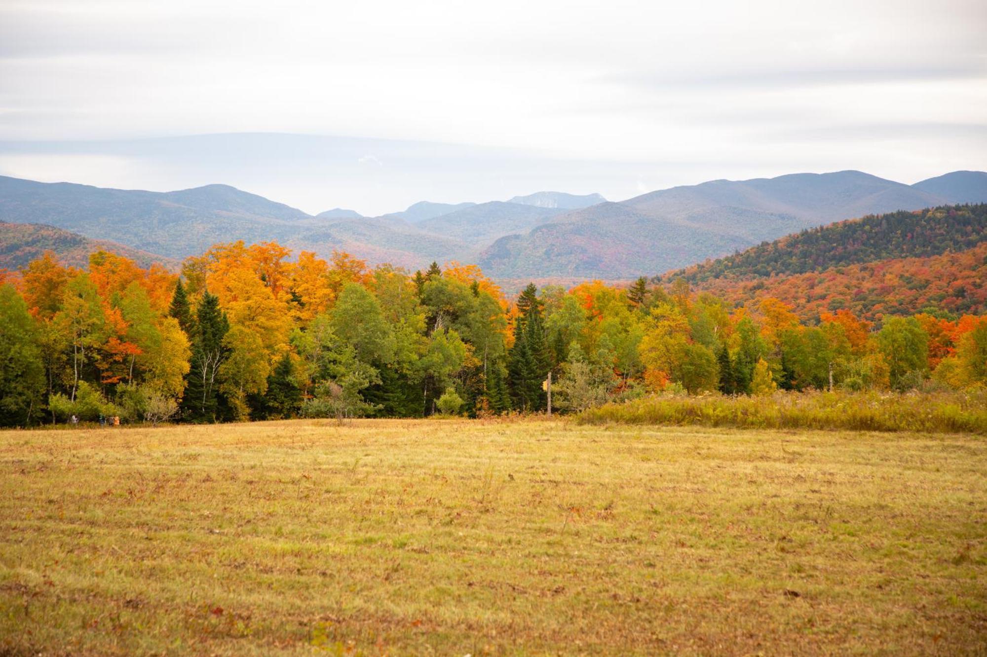 Lake Placid Inn: Residences エクステリア 写真
